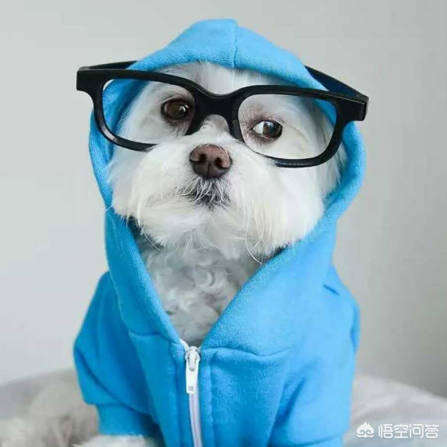 南通市衣服压烫厂在哪里