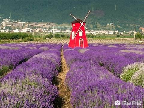 纸飞机购买服务如何投诉