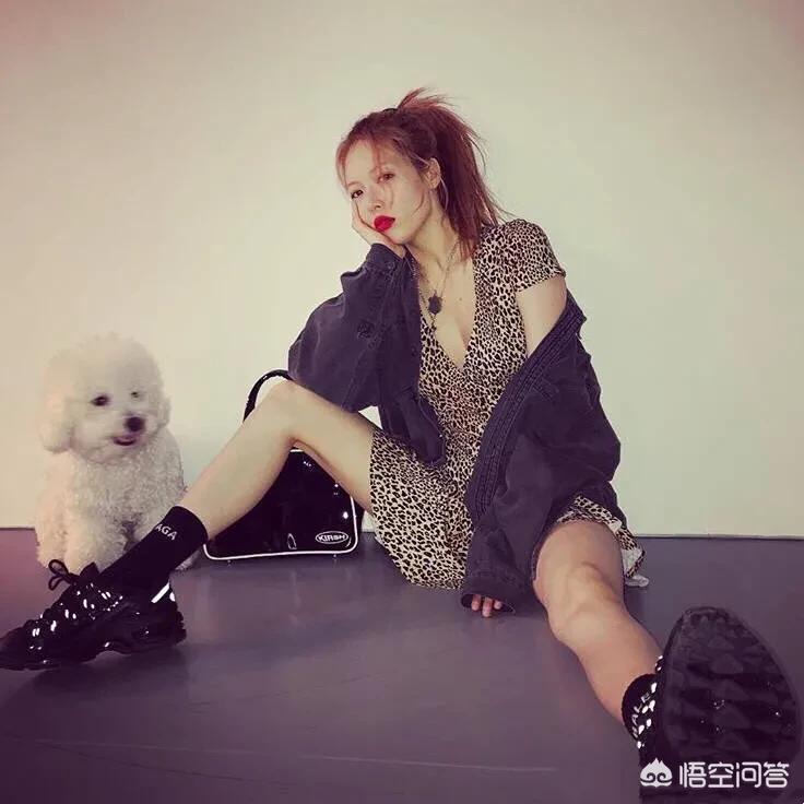 韩国代购美妆好物分享
