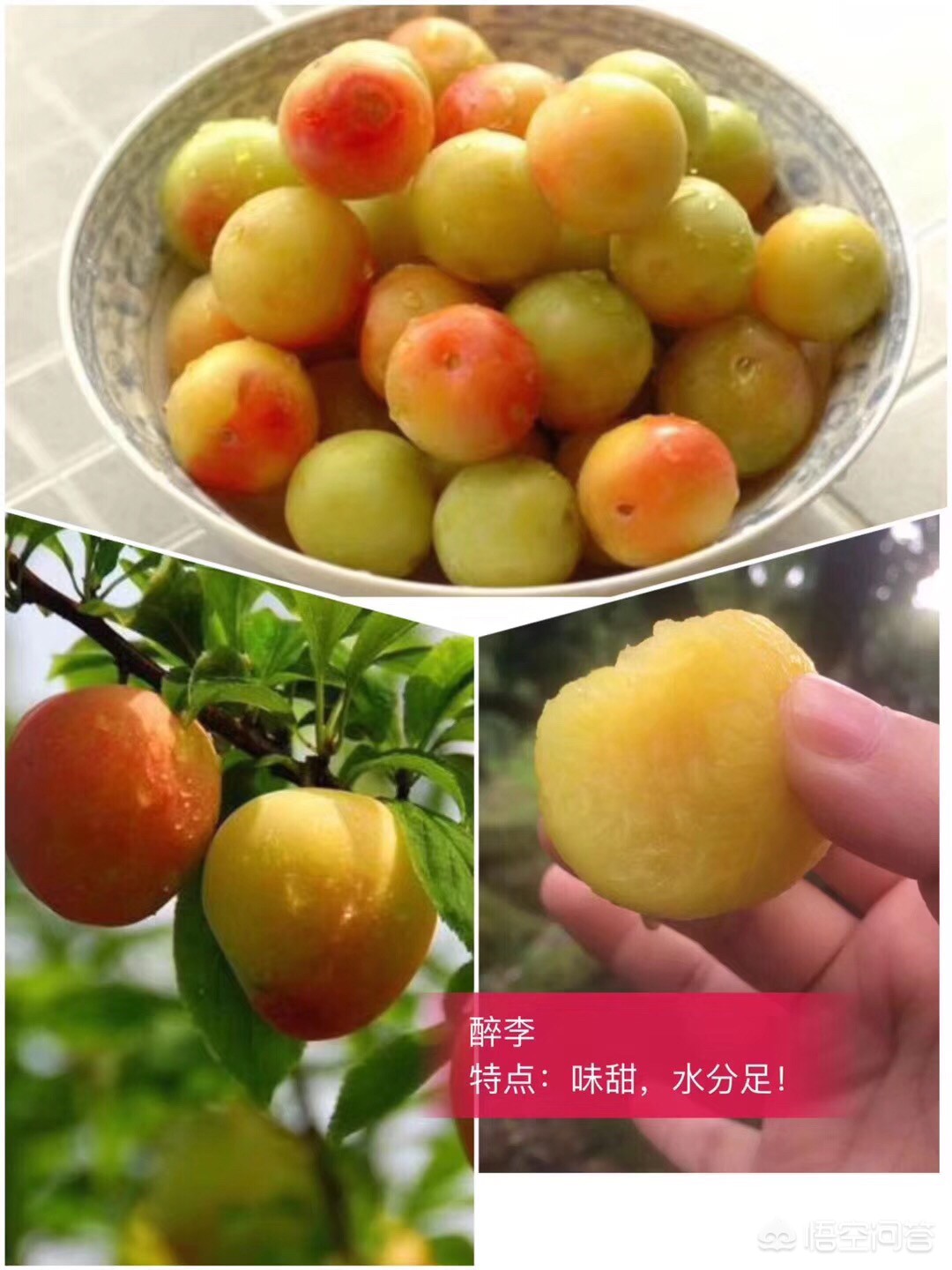 无锡市附近哪里有玩的