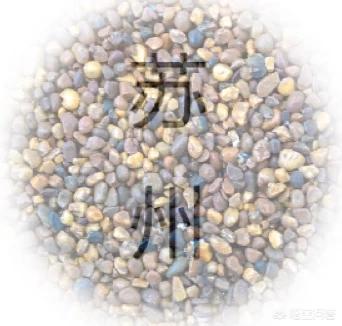 苏州市应聘老师怎么样