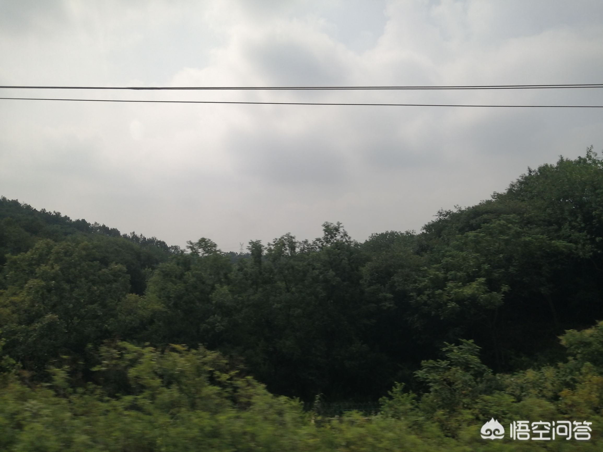 旅游变骨灰被寄回家