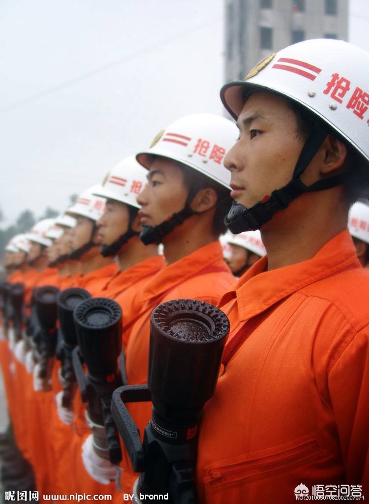 小鹿在海外生活的视频大全，小鹿在海外生活的视频大全集
