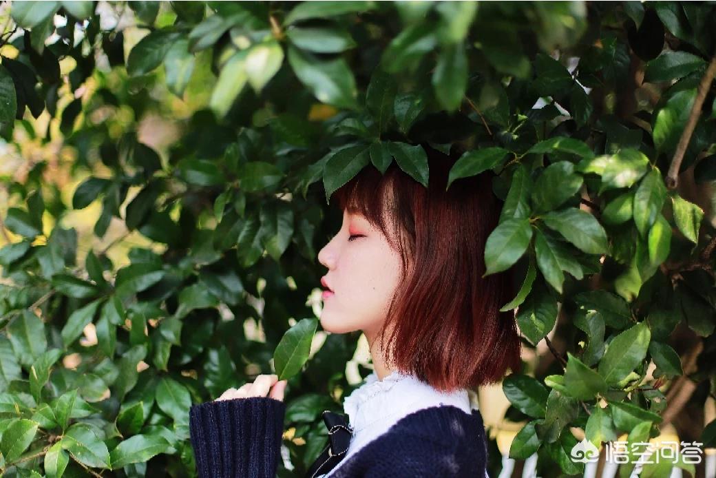 杭州的太子湾公园好玩吗？是否值得周末去玩？