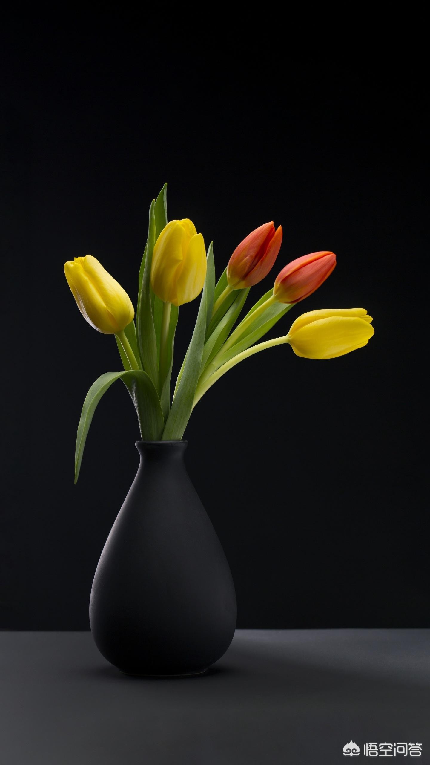 如何制作电子相册（电脑相册制作？）