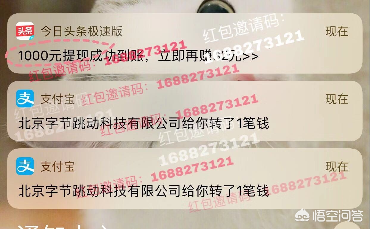 北京生活类app开发制作