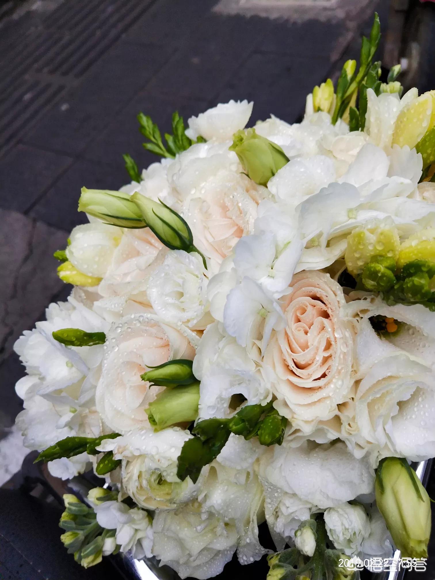 [zoro]zoro到底是什么意思啊？