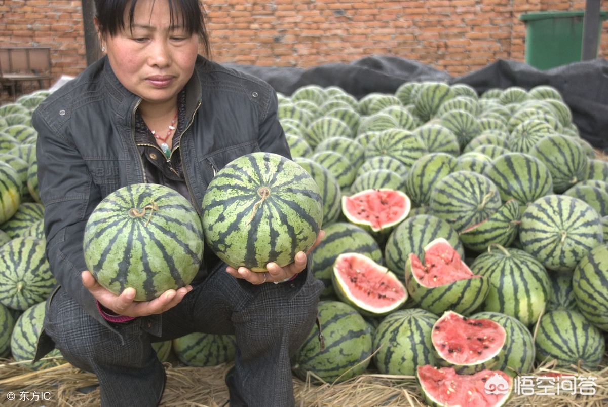 兰州市哪里可以学插花 兰州市哪里可以学插花