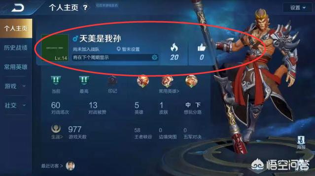 《王者荣耀》你们在游戏中都见过那些“奇葩”的ID? 《王者荣耀》你们在游戏中都见过那些“奇葩”的ID?