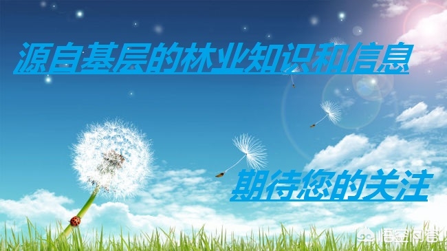 福建创业娱乐公司怎么样