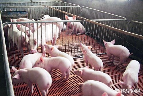 微汽车报价,微汽车报价5万以下