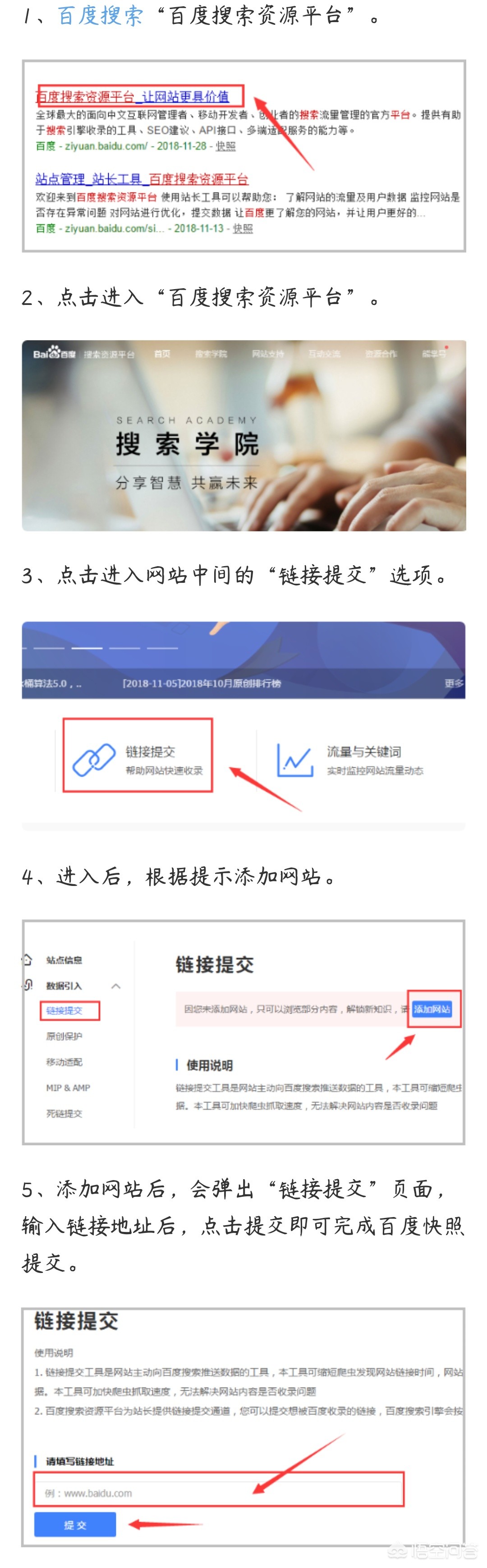 编程网怎么搭建网站