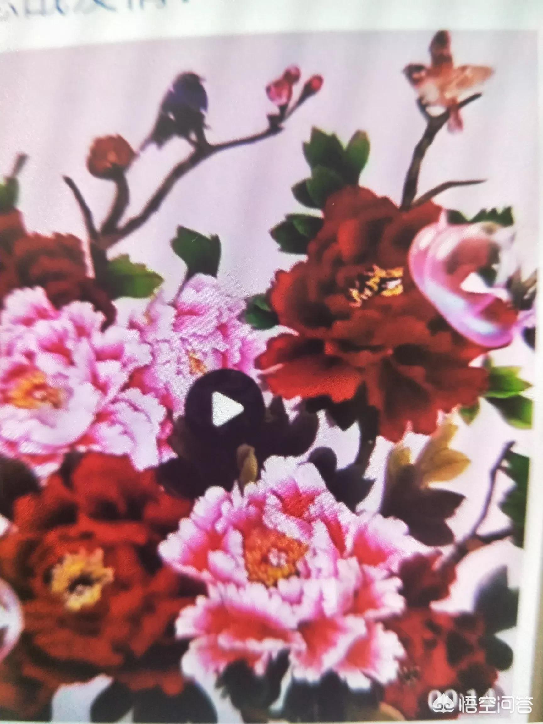 经典老歌海外生活视频，经典老歌海外生活视频大全