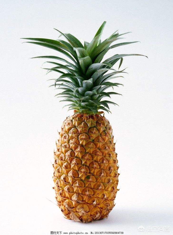 [凤梨就是菠萝吗]凤梨与菠萝一样甜吗？二者的区别在哪？