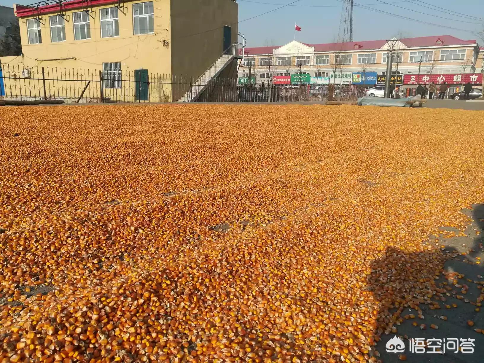 东北微型汽车销量排行榜，东北微型汽车销量排行榜最新