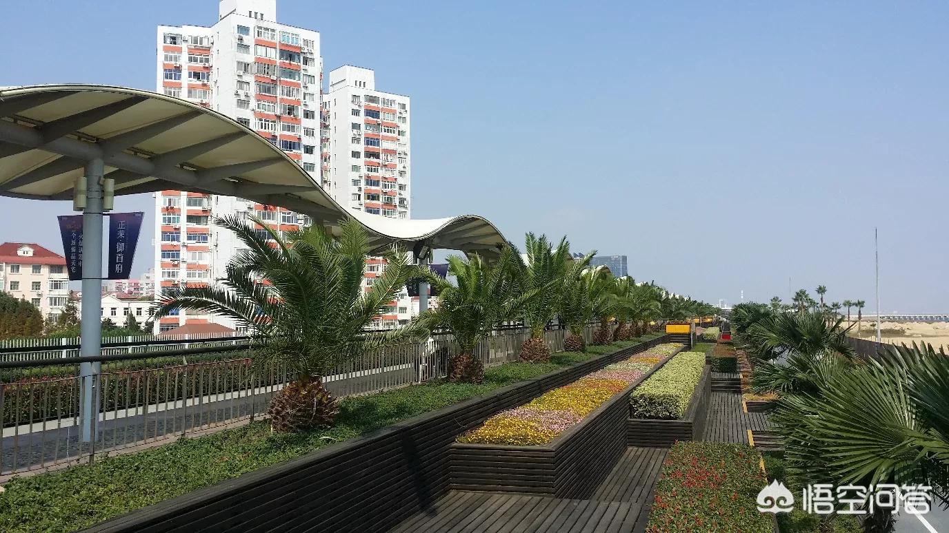 上海哪些区工作机会多