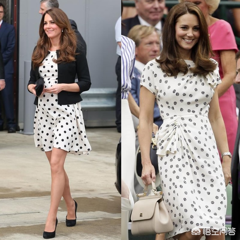 春天的花图片（春天的手抄报简单？）