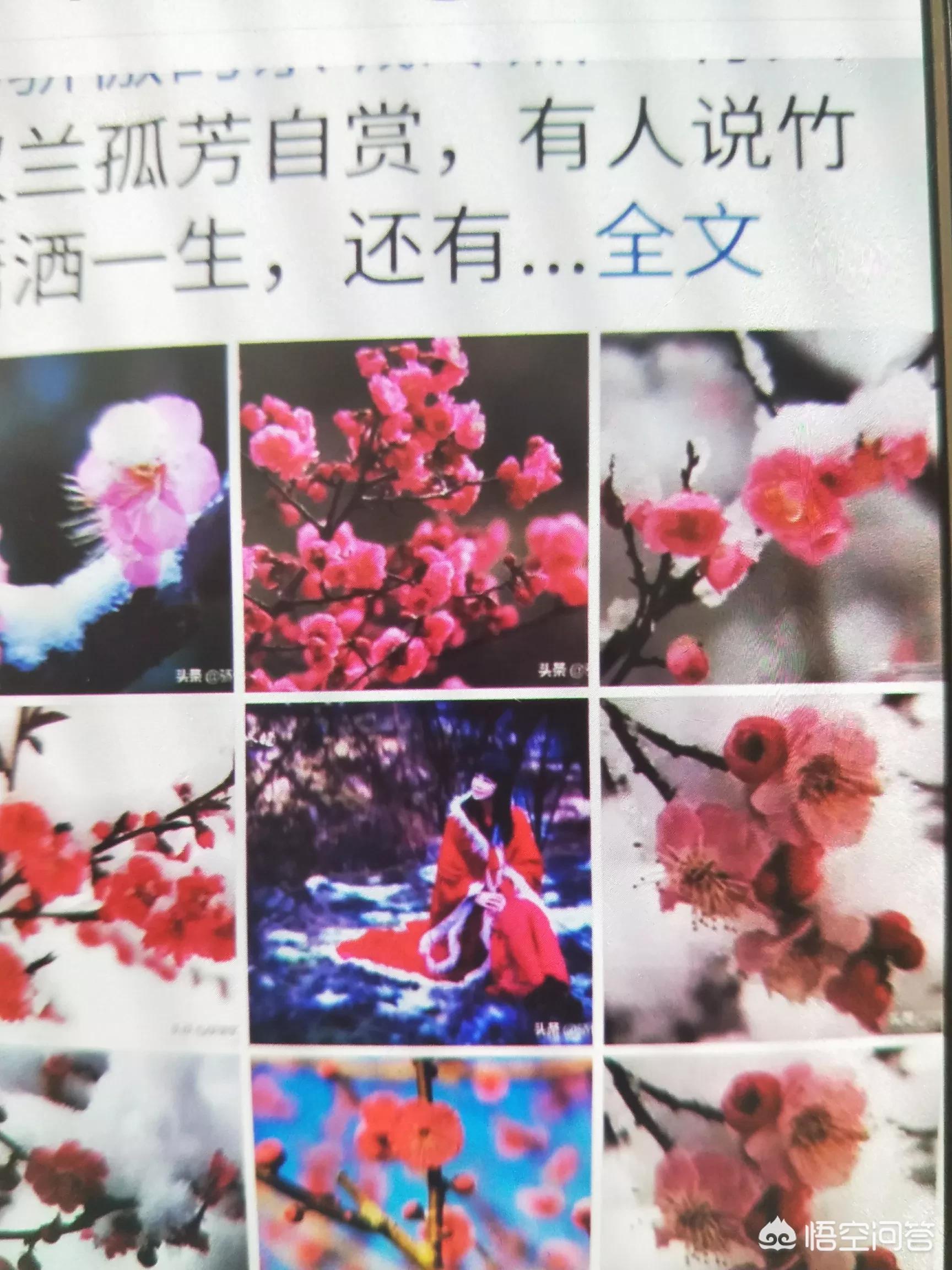 经典老歌海外生活视频，经典老歌海外生活视频大全