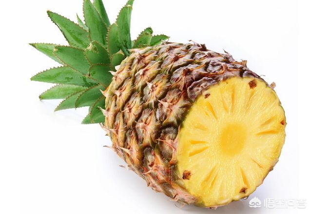 [凤梨就是菠萝吗]凤梨与菠萝一样甜吗？二者的区别在哪？