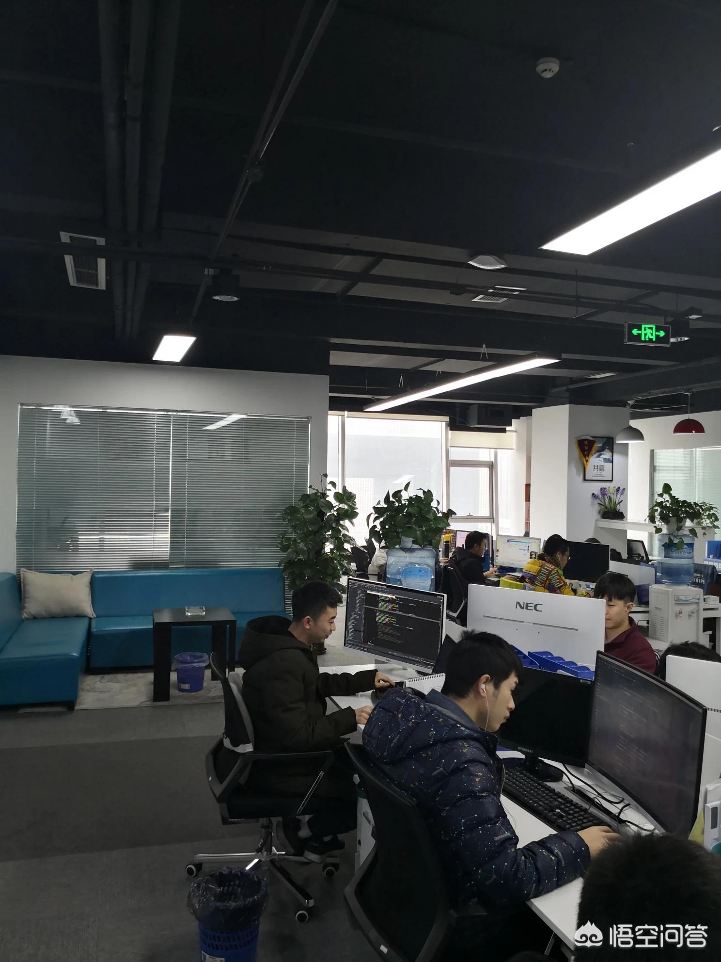 基于app的移动开发