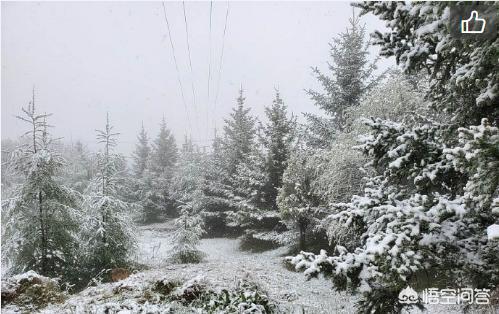 全国多地突降大雪（用大雪突降的情形说明二十世纪科学成就的两个特点什么和什么？）