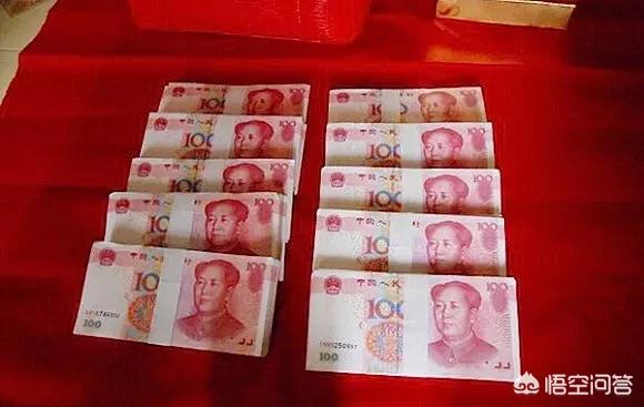 中国岳父海外生活，中国女婿做饭外国老丈人