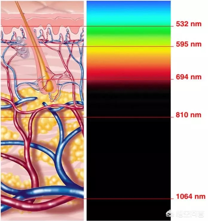 [彩光]彩光好什么意思？