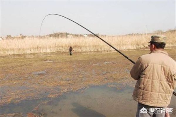 汽车品牌萌新介绍怎么写,汽车品牌萌新介绍怎么写文案