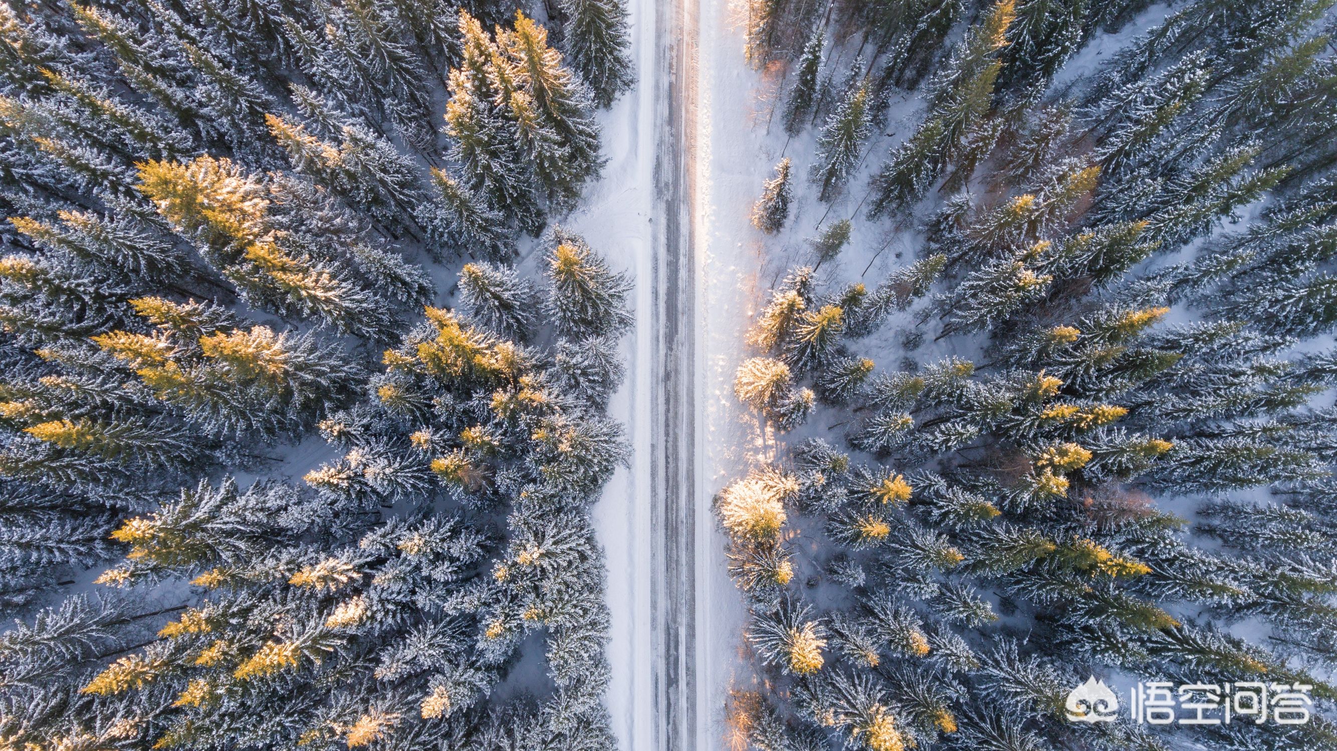 摄影部落太平洋摄影部落