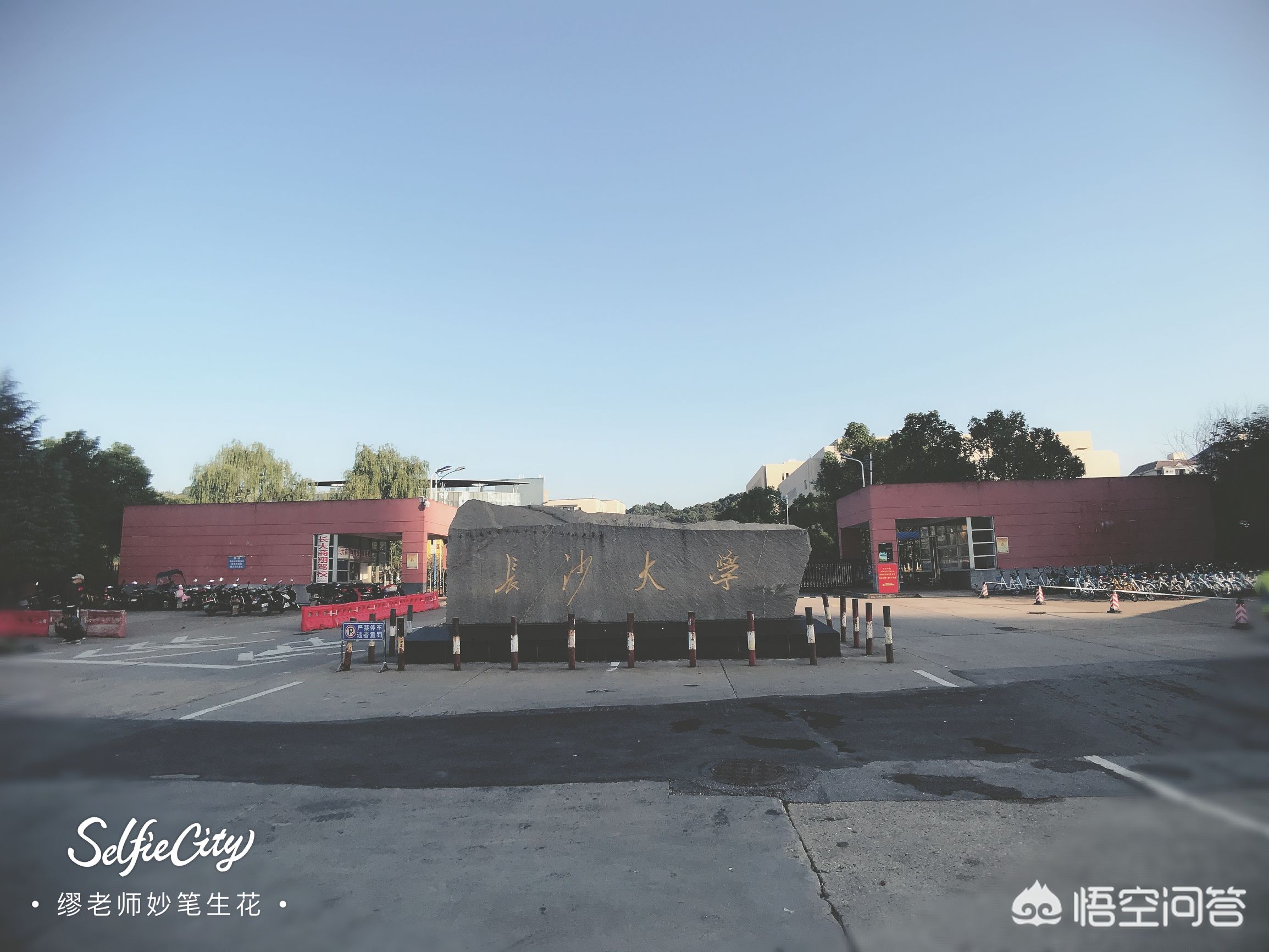 长沙市学什么专业有前途