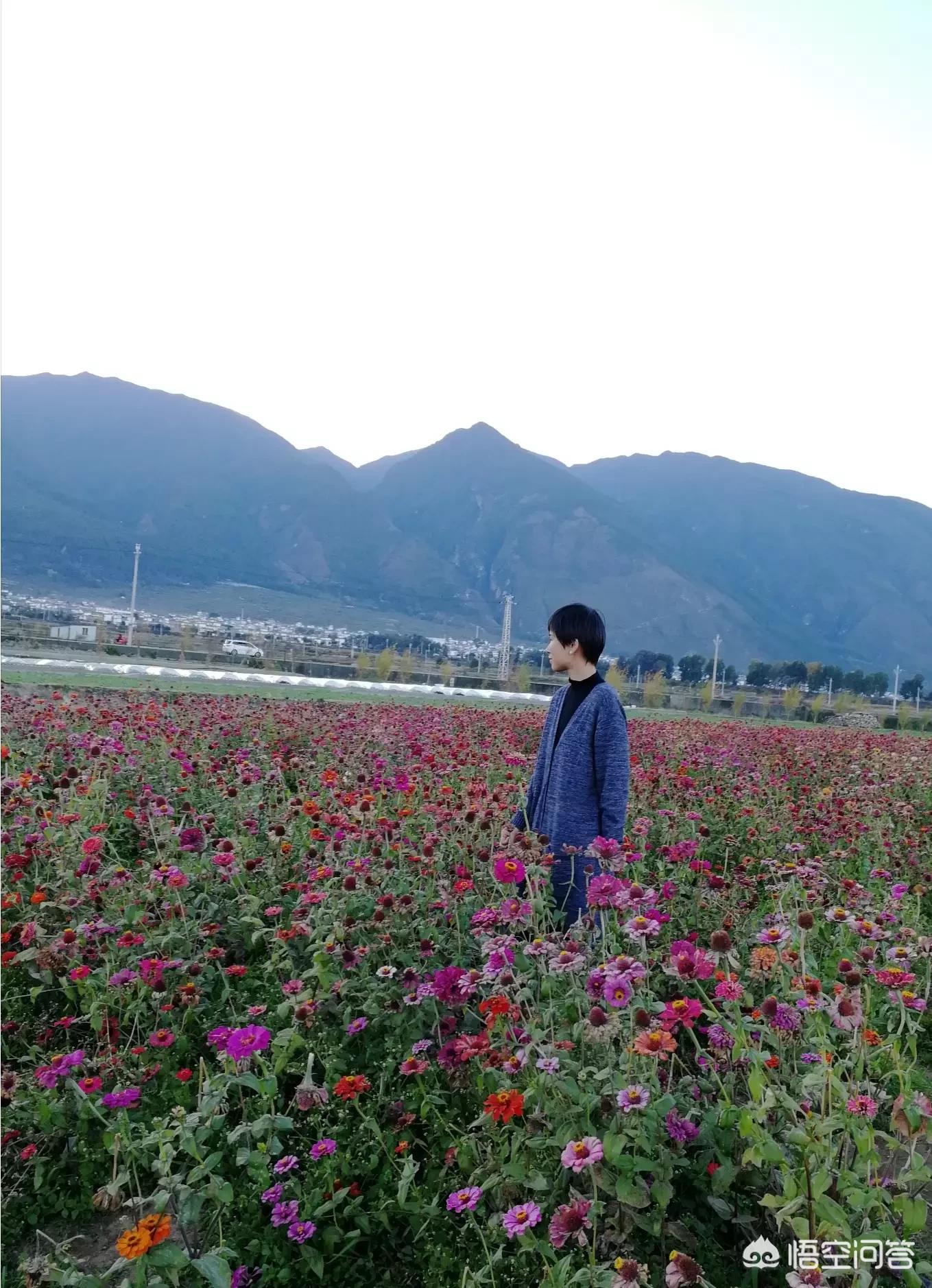 留学生海外生活安全管理，留学生海外生活安全管理办法