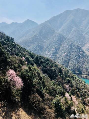 杭州有哪些樱花景点和桃花景点呢？哪些地方最值得去玩？