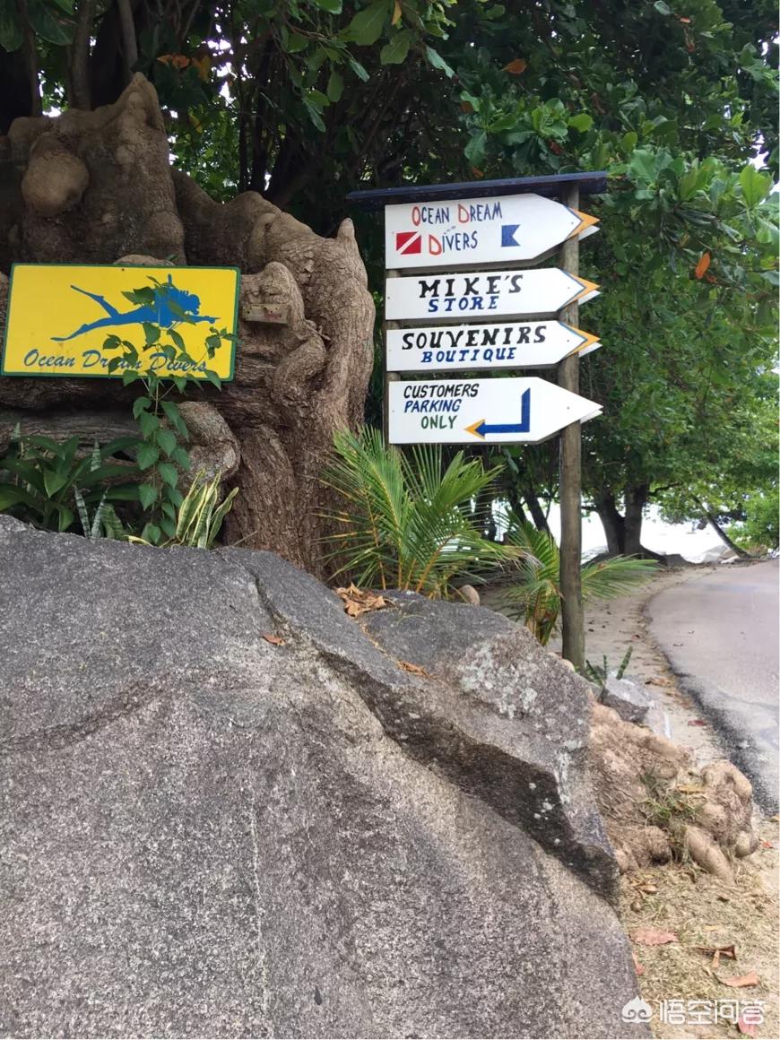 海外生活 旅游现状分析，海外生活 旅游现状分析论文