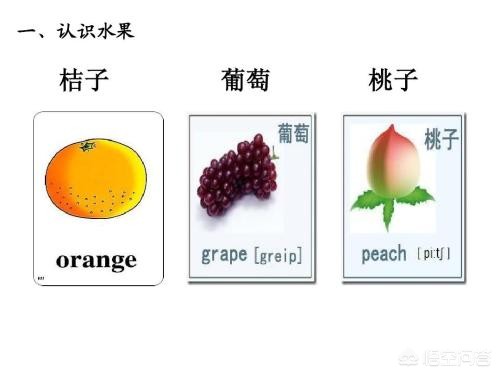 二年级怎么开始学英语？：一二年级开设英语课