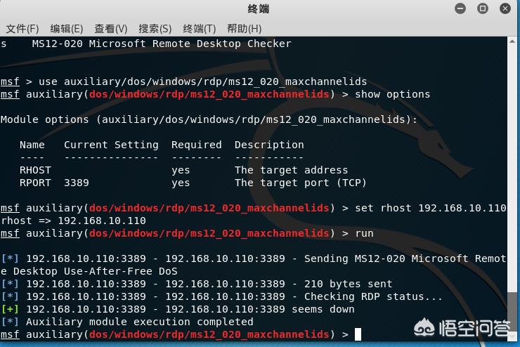 kali linux怎么搭建网站