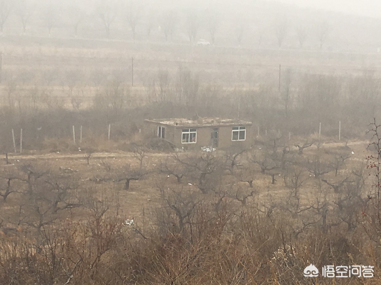 大连市什么房源不能买