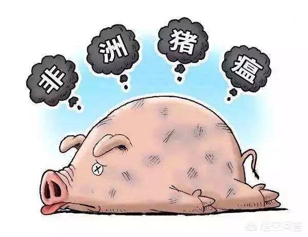 小胖海外生活非洲女友在线观看，小胖海外生活非洲女友在线观看