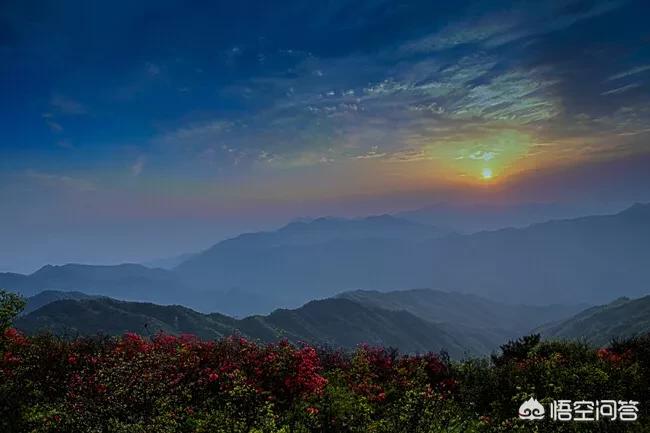 ,支持出售照片的网站哪个好?