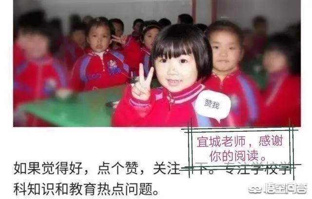 知识从哪儿来怎么学习，知识从哪里来?