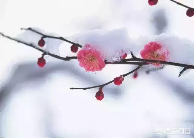艾滋病疫苗的成功问世为何困难重重？：我国艾滋疫苗获进展