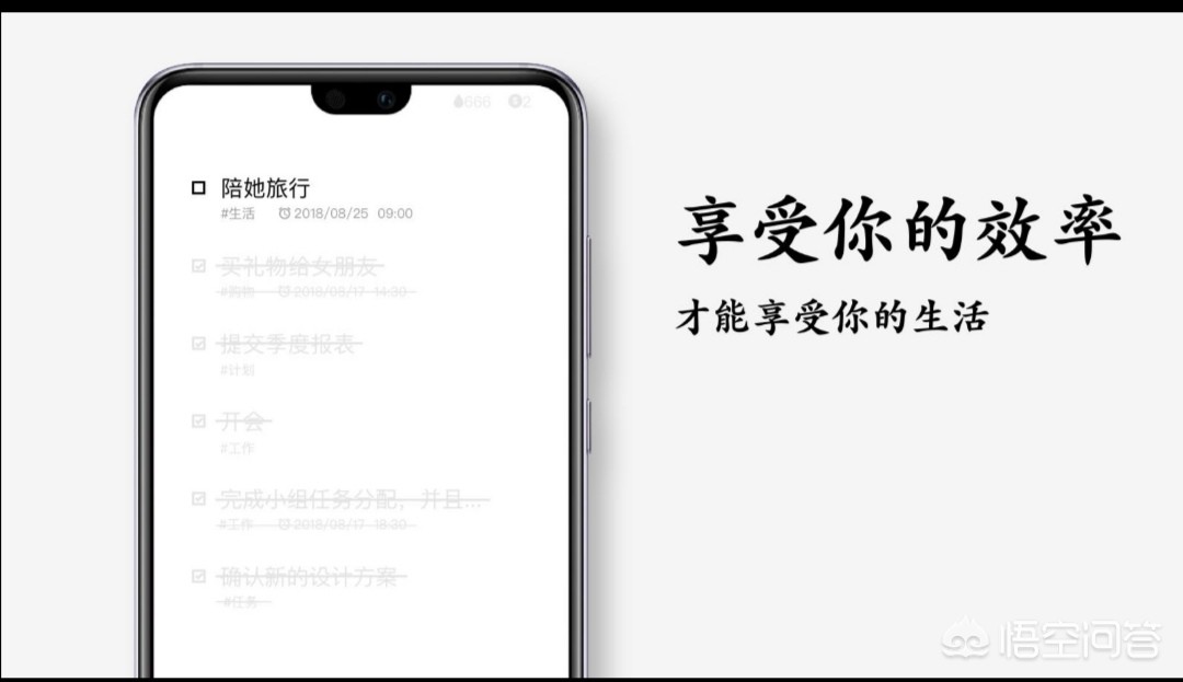 开发app的英语作文