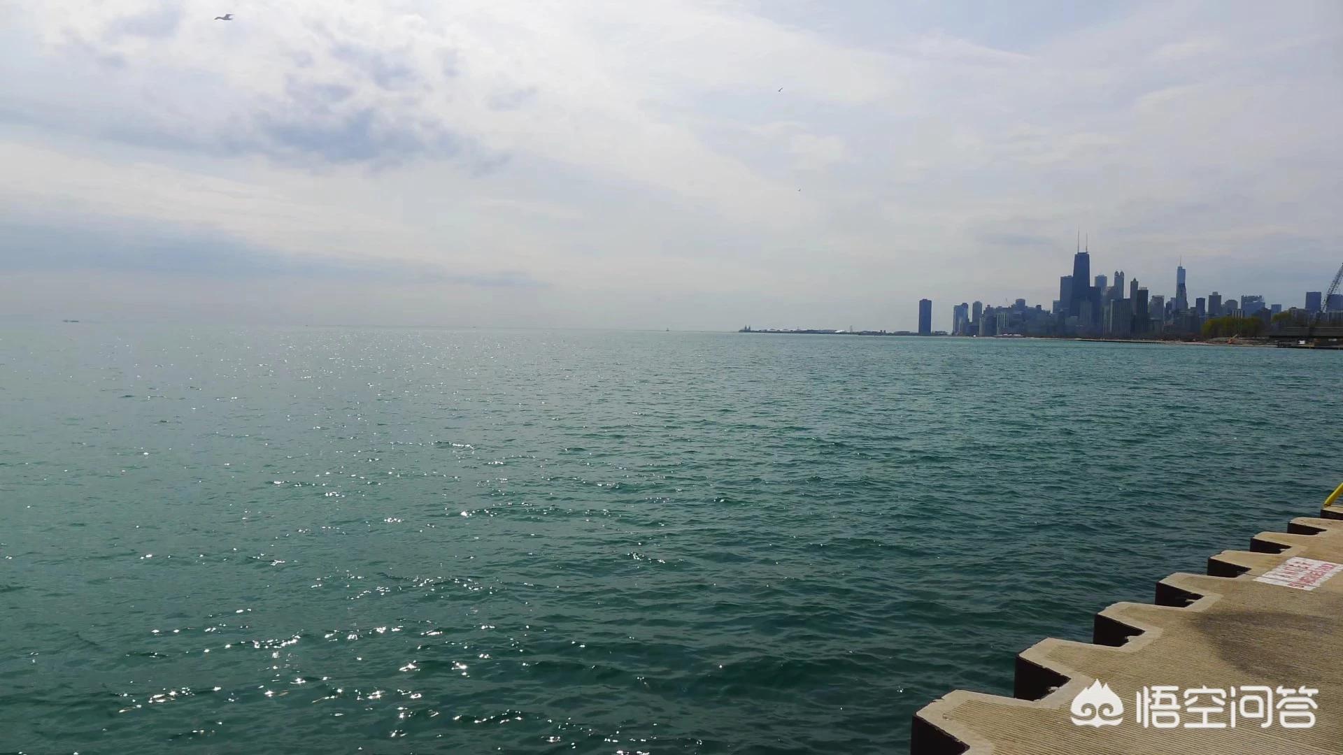 我的海外生活经历，我的海外生活经历作文