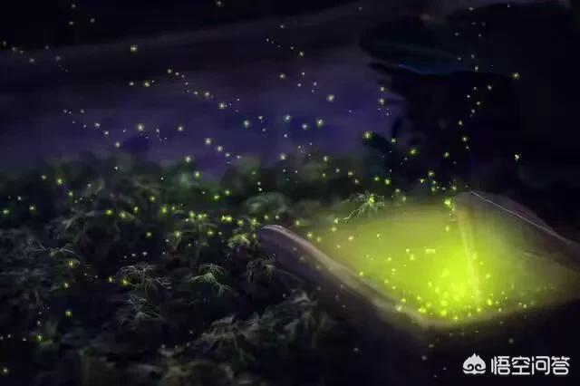 无锡市哪里是网红店