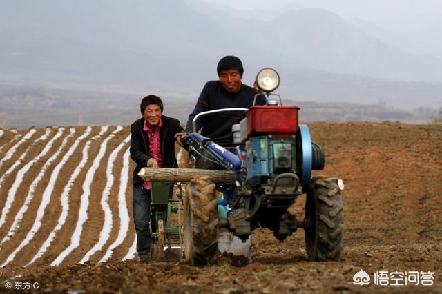 兰州市哪里可以学插花