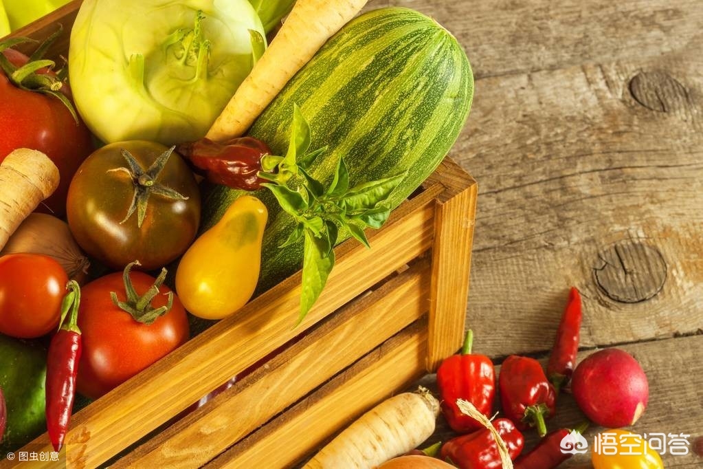 兰州市哪里可以学插花