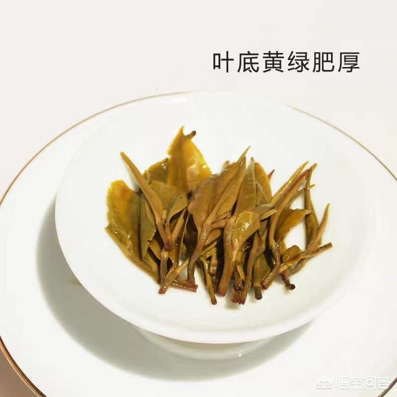 兰州市绿茶叶批发市场在哪里