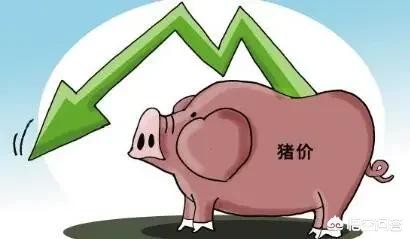 微汽车报价,微汽车报价5万以下