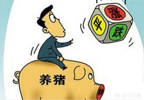 西宁汽车报价大全,西宁汽车报价大全最新