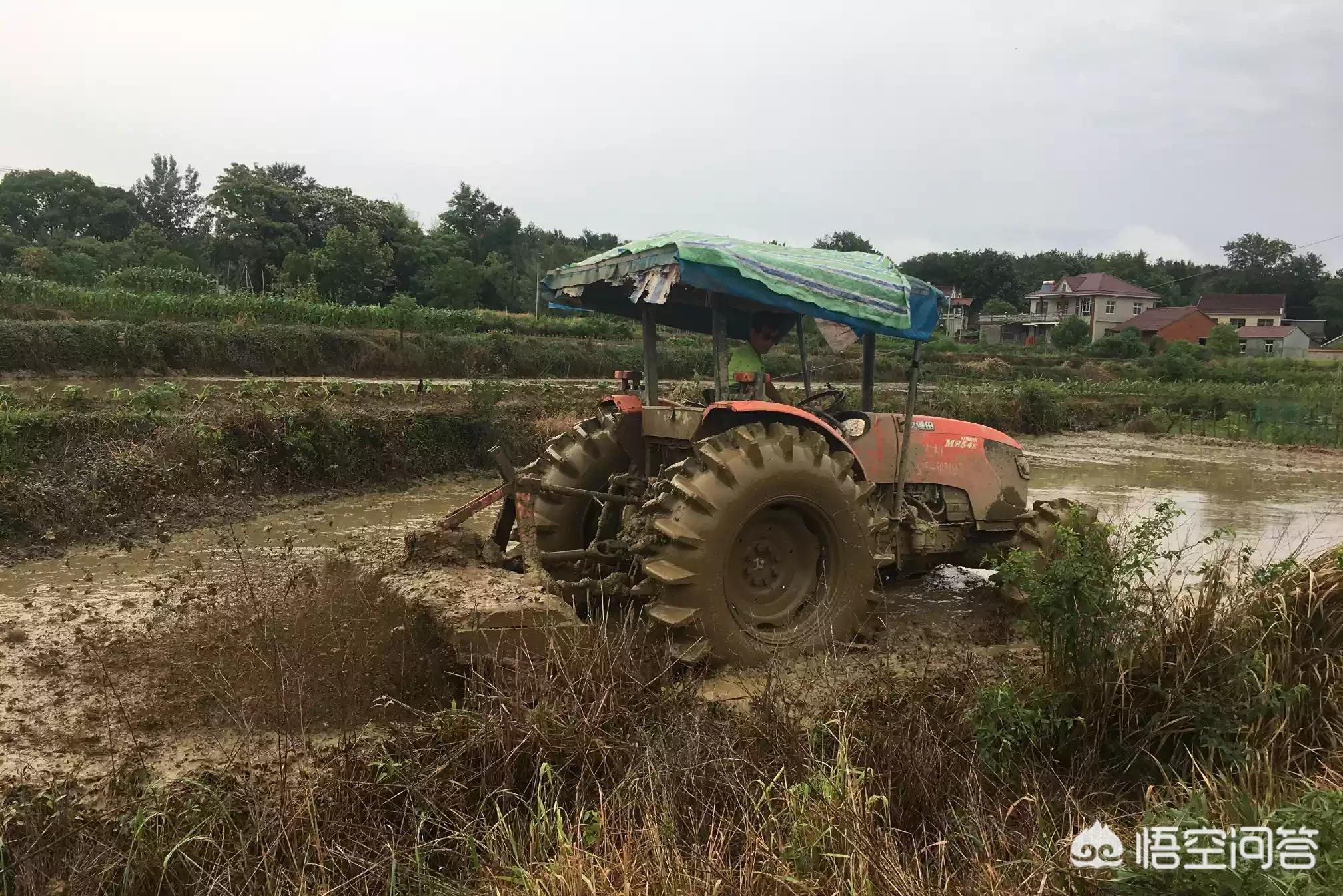 8959蜜糖直播改名后叫什么名字