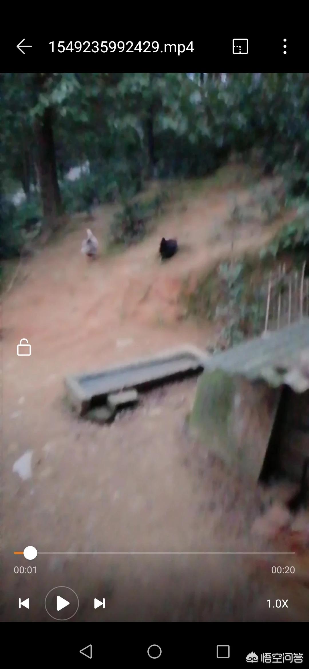 宁乡全网网络营销中心地址,养鸡该怎么选择鸡的品种?如何连续销售?